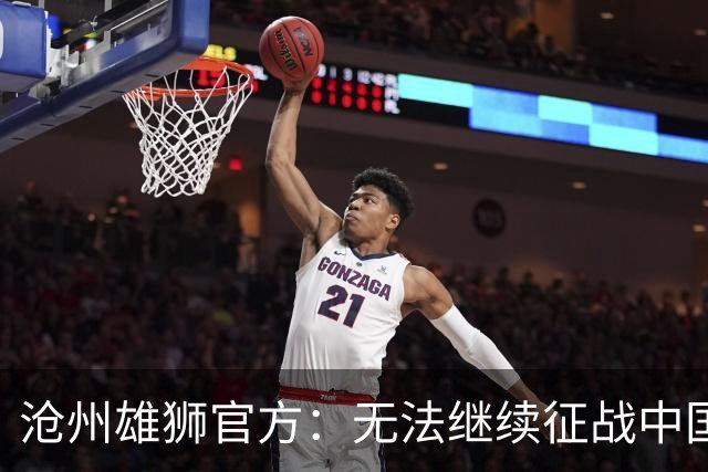 沧州雄狮官方：无法继续征战中国足球职业联赛